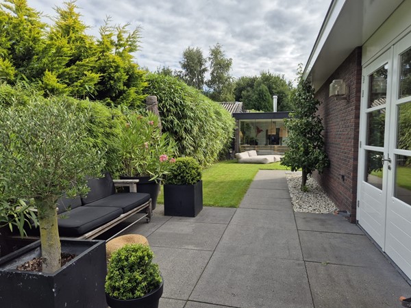 nieuwe buitenfoto's 29-07 (3).jpeg